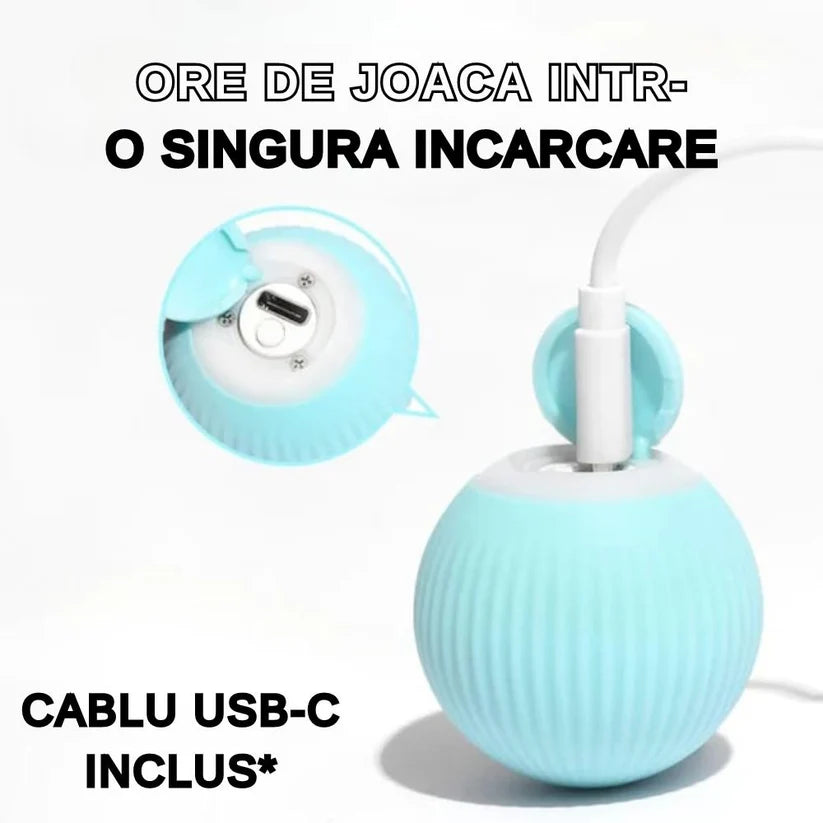 FurryJoy™ – Joacă Non-Stop, Chiar și Când Nu Ești Acasă!